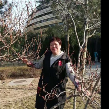 wl忘记不是背叛