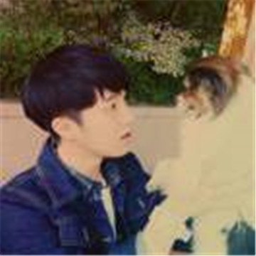 一只受伤的小羊