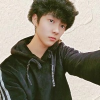 折断翅膀的蝴蝶