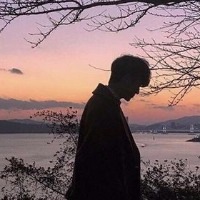 山有木兮木有枝