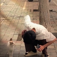 吾非良人尔非良配