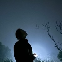 若离相惜莫离相伴