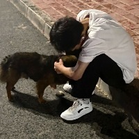 故事开演演开事故