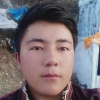 友如狗鹰翼骑着走