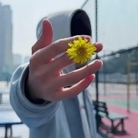 我爱你但与你无关