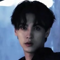 旧城堡的木槿花